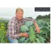 NEW SEASONS BRUSSEL SPROUTS  400 Gram Bag  Ohakune Grown